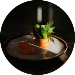 relais_castello_di_morcote_home_vicania